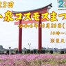 第23回小泉コスモスまつりが2024年10月20日(日)に伊勢崎市で開催！