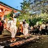 誰でも“火渡り”に参加できる！火伏せの神として知られる入谷の秋葉神社で「火渡りの神事」が11月6日に開催