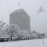 大雪被害を受けた市町村へ特別交付税が繰り上げ交付、新潟県内では14市町が対象に