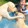 夏、プールに赤ちゃんと大型犬を一緒に入れた結果…想像以上の『大はしゃぎ』が最高過ぎると111万再生「やんちゃで可愛い」「幸せの縮図」