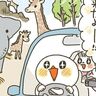 行くぞ！サファリだ！シーパラだ！[10年ぶりに出産しました#204]
