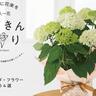 初心者でもOK！マイルームで