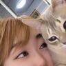 飼い主が愛猫に『猫アレルギー』を告白した結果…完璧に理解してそうな『衝撃の反応』が107万再生「ワシ猫やないかい!?ってｗ」「驚愕ｗ」