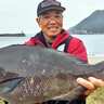 「大物獲ったでごわす！」磯フカセ釣りで64cm3.3kg尾長グロ堂々浮上【鹿児島】