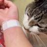 興奮して飼い主の腕を噛んでしまった猫…後に見せた『まさかの行動』が賢すぎると748万表示「確実に反省してる」「可愛い良い子だね」