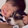 小さな男の子が『生まれた瞬間から犬と一緒に育った』結果…体調不良の時に見せた『あまりにも愛おしい行動』が228万再生「相思相愛」と絶賛