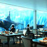 新水族館「神戸須磨シーワールド」のオープン日が決定！ホテルも誕生