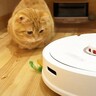 『猫の宝物』をロボット掃除機が回収→猫が必死で追いかけて…『哀愁漂う背中』に爆笑！「感情が伝わってくる…ｗ」「かわいすぎる！」の声