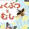 六甲高山植物園で夏イベント『しょくぶつ