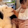 子犬のそばで『赤ちゃんが号泣』していたら…『まさかの行動』に感動の嵐「優しい世界」「子犬でもこんな行動とるんだ」と40万再生