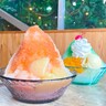 レトロ可愛いメロンソーダ風かき氷や桃たっぷりのかき氷も！イラストレーターの店長さんが手掛ける癒しカフェ｜鳥取県米子市