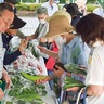 区役所前でほどがや朝市