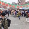 伊勢佐木町７丁目桜まつり　29・30日富士見川公園で　グルメや路上ライブも