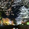【神戸】夜桜スポット9選！兵庫で桜のライトアップが楽しめる名所を厳選