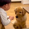 大型犬2匹にりんごをあげる男の子→『マテしている』と思ったら…どう見ても『待ちきれない様子』に反響「断食でもしてたんかｗ」「我慢偉い」
