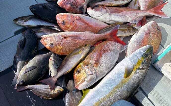沖釣り釣果速報】玄達瀬の完全フカセ釣りでヒラマサ90cm頭に多彩