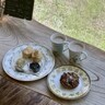 【鳥取市】紅茶専門店ダウラ｜全国から紅茶好きが集まる！種類豊富な紅茶を取り扱っている紅茶専門店♪
