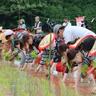 6/9に豊後高田市で「田染荘御田植祭」が開催されます