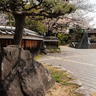 ウォーキングコースにもぴったり♪四季折々の花が咲く魚崎の『住吉川公園』