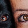 犬の目はどれくらい見えている？人と比べたときの見え方や視力低下の症状まで