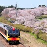 桜も海も楽しめる！五能線沿線のまちで6年ぶりのお花見イベント開催【秋田県八峰町】