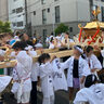 小さなお子さんも参加OK！伏見区深草・藤森神社の「藤森祭」の引き神輿