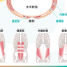 自在に動けるキレのよいカラダを作ることで得られるメリットとは！？【プロトレーナーが本気で教える