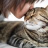 猫はなぜ『かわいい』？猫が人々を魅了する5つのポイント　赤ちゃんとの共通点が！