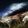屏風岩と山桜のライトアップで幻想的な空間へ。奈良県曽爾村の名所「屏風岩公苑」