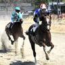 相馬野馬追春季競馬大会開催　騎馬武者、雲雀ケ原を駆ける【福島県南相馬市】
