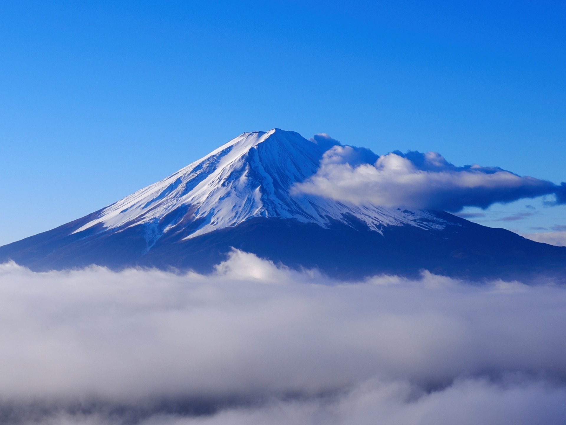 富士山麓とザニッカ　各1本 富士山麓とザニッカ 各1本 富士山麓とザニッカ 各1本 富士山麓