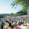 野外音楽フェスシーズン到来！爆上げ確定！2025年「北海道の3大音楽フェス」まとめ