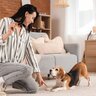 愛犬に何度言っても『合図が伝わらない』理由4選　原因は飼い主にあった？心得ておきたいこととは
