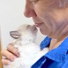 ドブの中から保護された赤ちゃん猫→パパが『メロメロ』になった結果…まさかの光景が25万再生「終始デレデレで笑った」「父ちゃんも可愛いｗ」