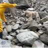麻薬探知犬になり損ねた犬、災害救助犬として大活躍（台湾）