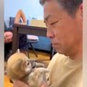 『３番目の孫』として子犬をお迎えしたおじいちゃん→１年後…愛情たっぷりな『心温まる光景』が76万再生「どちらもデレデレｗ」と絶賛の声