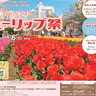 3万本の花々が春の訪れを告げる『六甲アイランドチューリップ祭』今年も開催