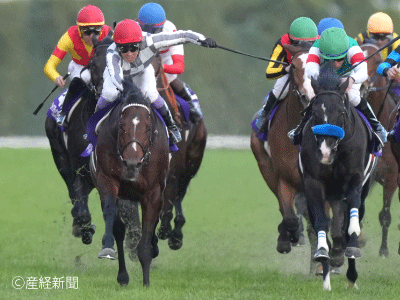 ジャパンカップ】06年以降馬券圏内なし！買ってはいけない馬券とは