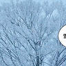 夕方から大雪に！立川市は今シーズン初の積雪で交通機関からは遅延・運休が発表されてる