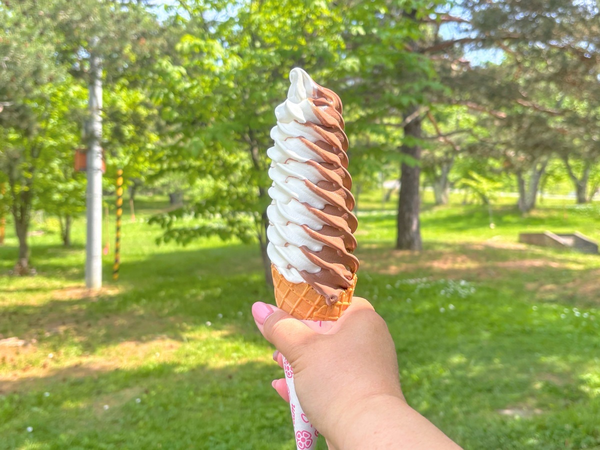 初夏においしいソフトクリーム3つ【旭川】 - Yahoo! JAPAN