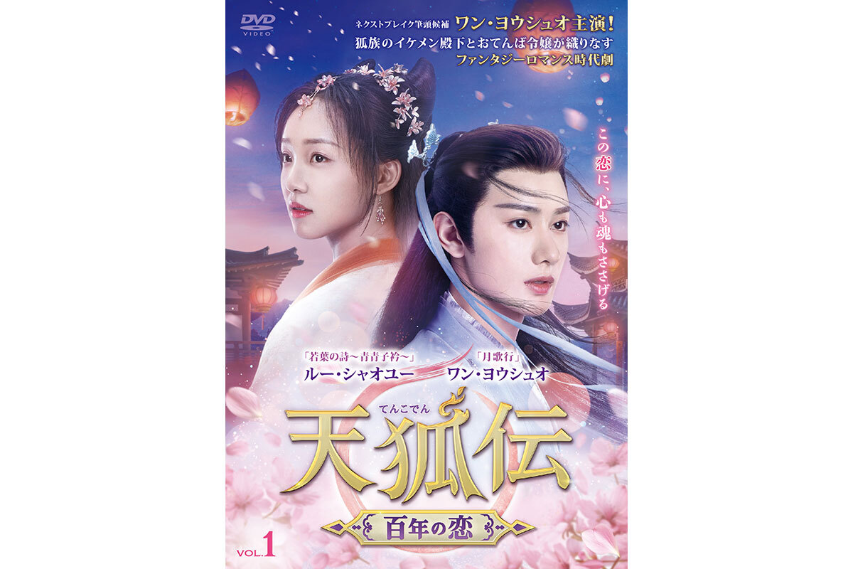 鏢行天下(ひょうこうてんか) 鏢行天下前伝セット 中国ドラマ