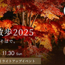 今年はカナールも輝く！10/30(木)～11/30(日)は国営昭和記念公園でライトアップイベント「秋の夜散歩2025」が開催されるみたい