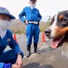 『ちょっといい？』大型犬が警察に職務質問された結果…とんでもなく平和な『ポリスメンとのやり取り』が28万再生「犬好き隊員さん素敵」と絶賛