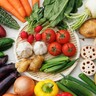 1日350グラムの野菜を摂取できてる？　「みんなでベジチェック1万人プロジェクト」実施中【北九州市】