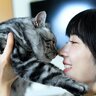 猫にも人にも危険な『人獣共通感染症』3選　お互いを守るために取るべき予防法も解説