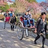 相模原中ＲＣ　人力車で外出楽しんで　障がい者と家族を招待