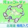 「北海道も梅雨入り？！」今週はくもりや雨の日が多くムシムシ・ジメジメ…　北海道の天気予報＆気象予報士解説／2025年6月30日更新