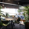 緑あふれる癒し空間で心地よいカフェ時間を　山口市「PLAN