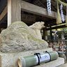 【京都】龍神様の力を頂ける穴場パワースポット！辰年にこそ訪れたい「伏見神宝神社」