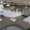 平安時代の水田が出土　17日　居村Ｂ遺跡で説明会